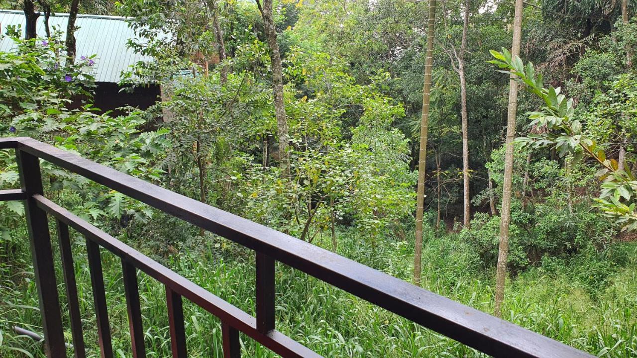Eco Zone Resort エッラ エクステリア 写真